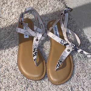 Brand new Steve Madden snake sandal